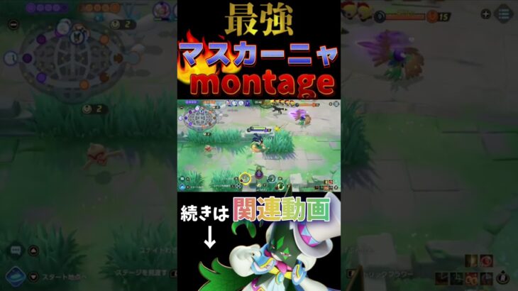 【ポケモンユナイト】マスカーニャキル集見て#ポケモン #ポケユナ #ポケモンユナイト #ユナイト #pokemon #pokemonunite #shorts