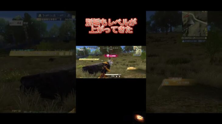 【荒野行動】別垢もレベルとランクが上がってきた！！#荒野行動キル集