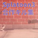 相方との合作キル集