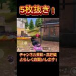 【荒野行動】AR無双！🔥武器に頼らないフルパ潰しがいちばん気持ちよすぎる！✨️#荒野行動 #荒野 #荒野行動キル集 #knivesout #knivesont大会 #ゲーム実況 #キル集