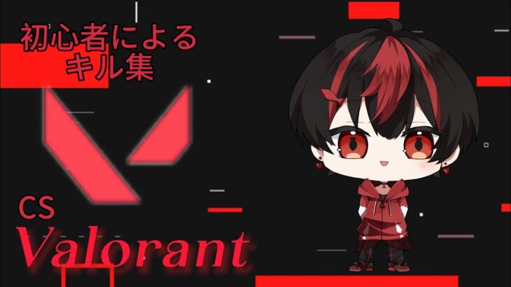 CSValorant初心者によるキル集