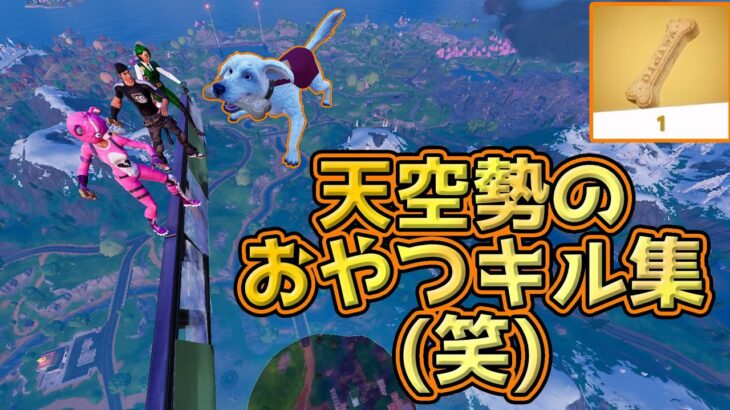 【フォトナ】天空勢によるクリプトのおやつキル集ｗワンちゃんキルｗ【フォートナイト】【FORTNITE】