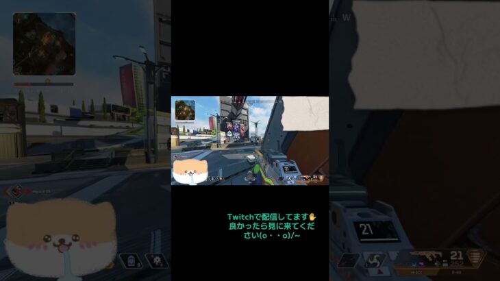やってみたかったapexキル集✨良かったらTwitch遊び来てください😊