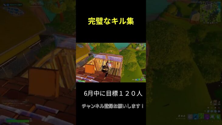 完璧なキル集♯fortnite♯小学生プレイヤー♯久しぶりの投稿♯포트나이트♯그날이오면