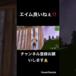 エイム良いねぇ‼️#fortnite #fortniteclips #フォートナイト #フォトナ #かっこいいキル集 #とぷしん #topushin