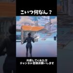 こいつ何なん？【フォートナイト】#フォートナイト #フォトナ #上手いと思ったら高評価 #fortnite #かっこいいキル集 #荒野行動 #人気になりたい #shorts