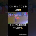 これ、びっくりするよね😆#fortnite #フォートナイト #フォトナ #かっこいいキル集 #とぷしん #topushin