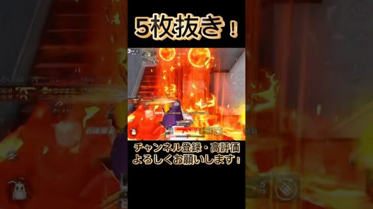 【荒野行動】ギリギリのせつてき！接敵！✨️足りないものだらけでも勝ち抜きます🔥#knivesout #knivesont大会 #荒野行動 #荒野 #荒野行動キル集 #ゲーム実況 #キル集
