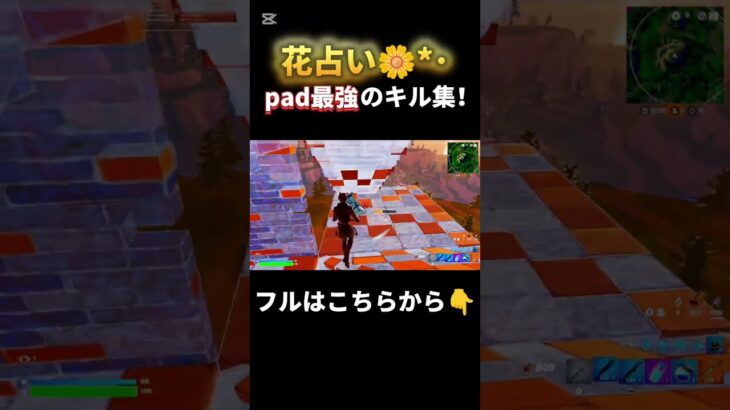 キル集/花占い pad最強のキル集！【フォートナイト/Fortnite】#フォトナ #フォートナイト #fortnite #fortniteclips #pad #highlight #キル集