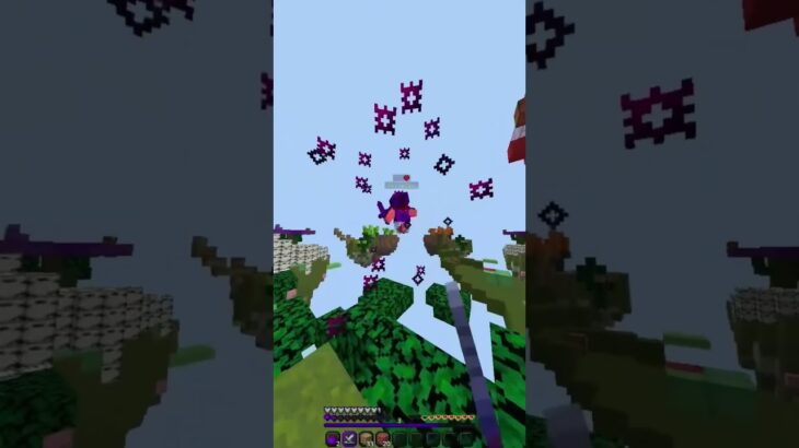 キル集（初） #マイクラ