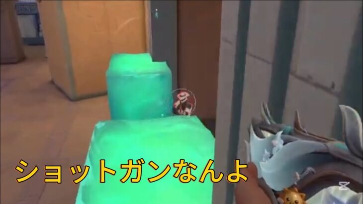ショットガン大好きによるキル集