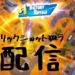 配信７９日　キル集の素材集め