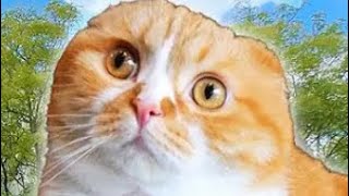 【マイクラ統合版】コントローラー勢のキル集