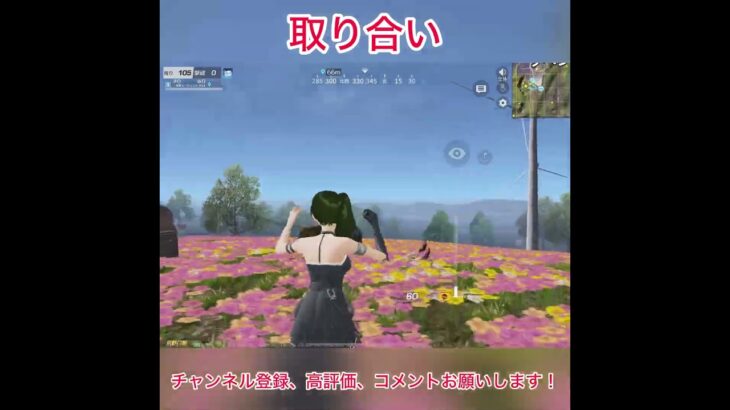 【荒野行動】宝箱の取り合い  #荒野行動 #荒野コラボ #葬送のフリーレン #荒野フリーレンコラボ #荒野フリーレンコラボ #荒野フリーレンでフリー３５連