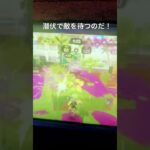 スプラローラーキル集