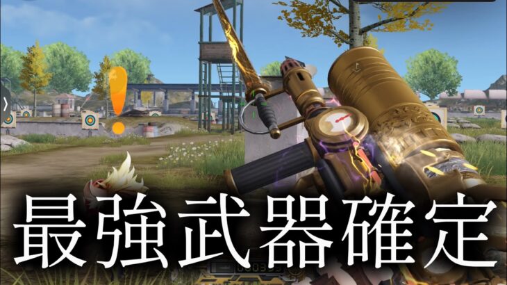 キル集勢がおすすめするこの武器持っとけば余裕でワンパ潰しできますwww【荒野行動】