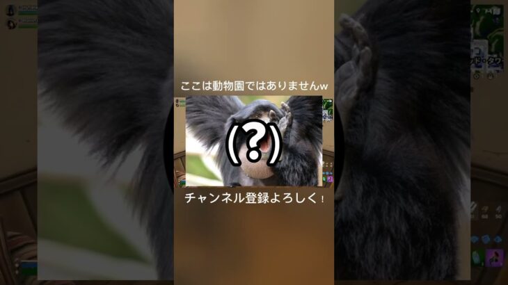 友達が猿だった件www #fortnite #かっこいいキル集 #フォトナ #自作編集