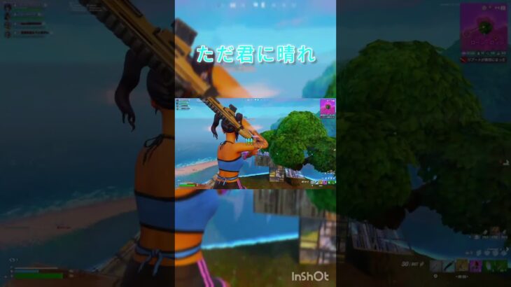 Fortniteキル集「ただ君に晴れ」part2   #フォートナイト #fortnite