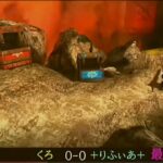 【MHXX戦争】キル集Part１
