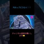 PSカップビクロイ‼️ #fortnite #クリップ集 #フォートナイトキル集 #フォートナイト #かっこいいキル集 #fortniteclips #キルショット #shortvideo