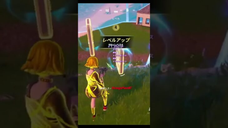 【フォートナイト】STRAY BLITZ　ラストｗｗｗ #フォートナイト #かっこいいキル集 #fortnite