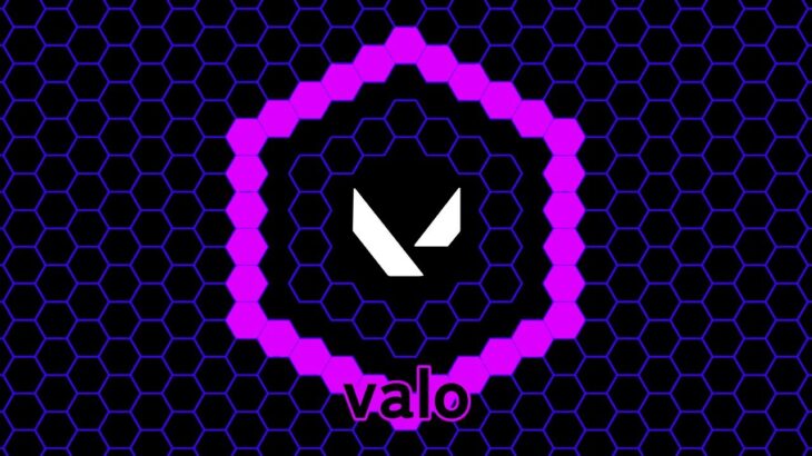 キル集２　VALORANT５
