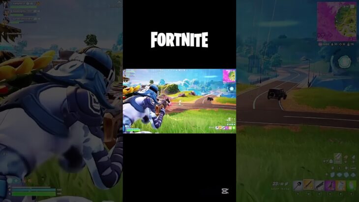 昨日のデュオとトリオ #fortnite #フォートナイト #キル集