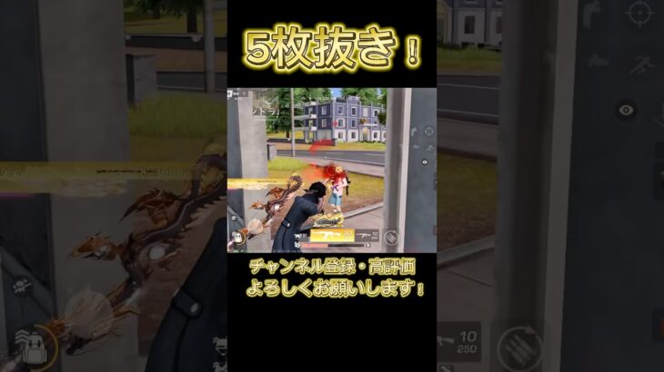 【荒野行動】この距離で戦うのが楽しすぎる✨️ソロクインの魅力がこのクリップに詰まってます🔥#knivesout #knivesont大会 #荒野行動 #荒野 #荒野行動キル集 #ゲーム実況
