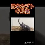日本カブトのキル集#shorts #昆虫