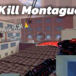 【100人ありがとう🙇‍♂️】キル集 / Kill Montague