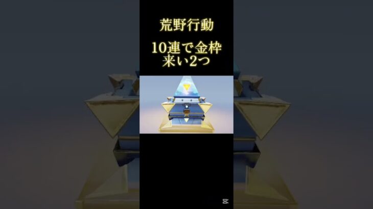 10連で金枠2つ!!#荒野行動 #荒野行動純金配布 #荒野コラボガチャ