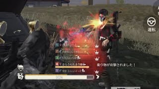【荒野行動】通常マッチ1v5ガチキャリー！長いけど見てくれたら嬉しいです😸