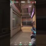 クローブACE #valorant #valorantclips #クリップ集 #ヴァロラント #かっこいいキル集 #元気になる動画 #valorantgaming #gaming