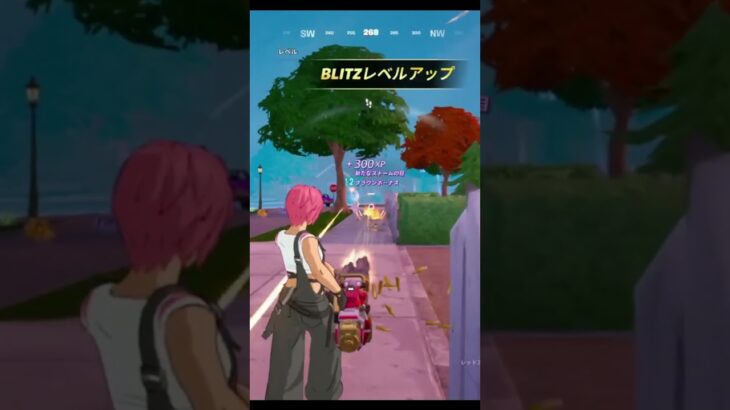 【フォートナイト】STRAY BLITZ　やられるやつはやっぱやられるねえ💦 #fortnite #かっこいいキル集 #フォートナイト
