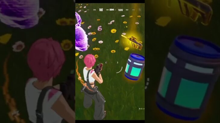 【フォートナイト】STRAY BLITZ　黄色お前ｗｗｗ #フォートナイト #かっこいいキル集 #fortnite