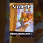 Switch勢が1試合でキル集作ってみた！！【フォートナイト/シルエット】