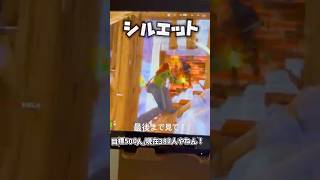 Switch勢が1試合でキル集作ってみた！！【フォートナイト/シルエット】