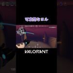 【VALORANT】可哀想なヨル #shorts #valorant #valorantclips #valorantクリップ #valorantキル集 #ヴァロラント #valorantショート