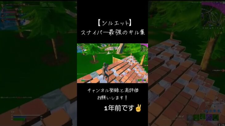 【シルエット】スナイパーキル集#fortnite #フォートナイト #フォトナ #スナイパー #キル集
