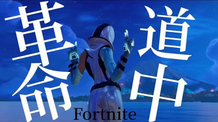 【革命道中】神スナイパーキル集 #fortnite #トリックショット #フォートナイト