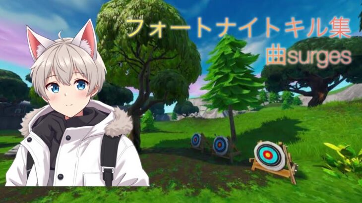 ♯フォートナイト　フォートナイトキル集に挑戦　曲surges