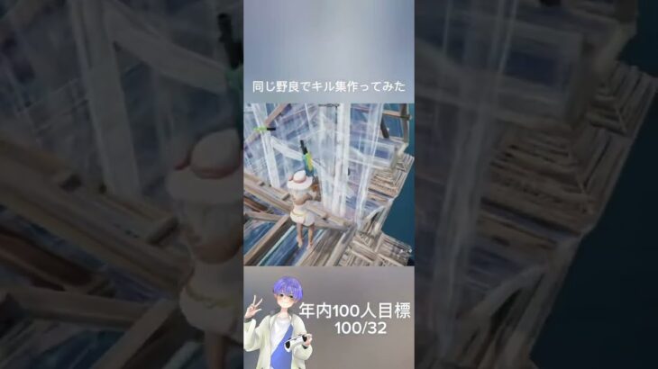 同じ野良でキル集作ってみた