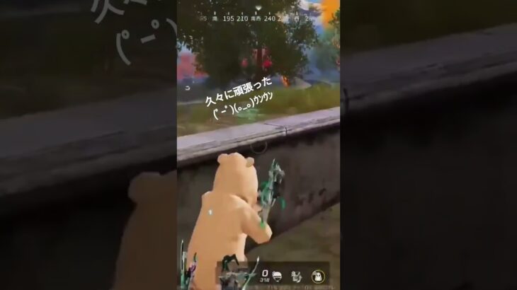 【荒野行動】久々に頑張ったから見て【キル集】？？