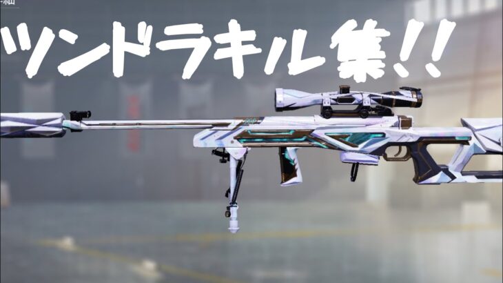 ツンドラの迷彩を手に入れたのでキル集