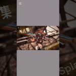 スプラトゥーンキル集#スプラトゥーン3 #かっこいいキル集 #スプラ3 お借りしたフリーBGM  youtu.be/43RngsPIUuU?si…