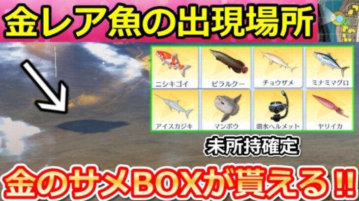 【荒野行動】超効率化‼『金レア魚の出現場所』全6ヶ所！必ず未所持の魚が釣れる裏技・金のサメサプライズBOX特典・撃破ボイス・釣りイベント/コンプ完全攻略（Vtuber）