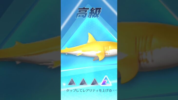 荒野行動金のサメのガチャ7連引く