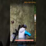 【荒野行動】真剣勝負中の精鋭達にBGMを付けてみた。ワイルドシリーズ。