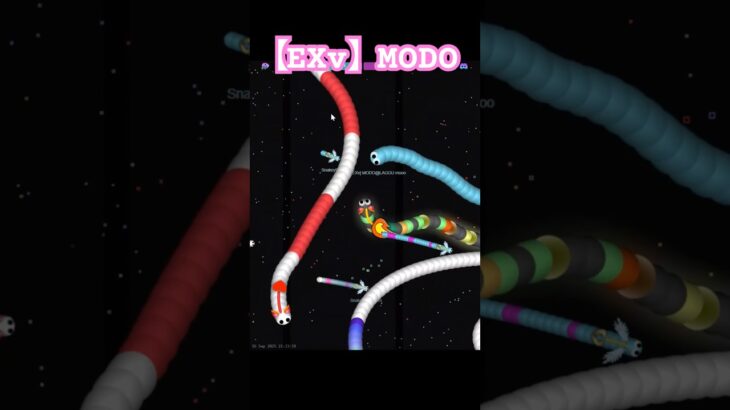 他人のキル集シリーズ①MODO。マジで強すぎる #slitherio #slithersnake #スリザリオ #wormszone #snake #gameplay #shorts