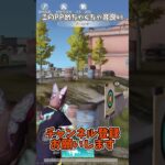 このPPめちゃくちゃ音良い【荒野行動】